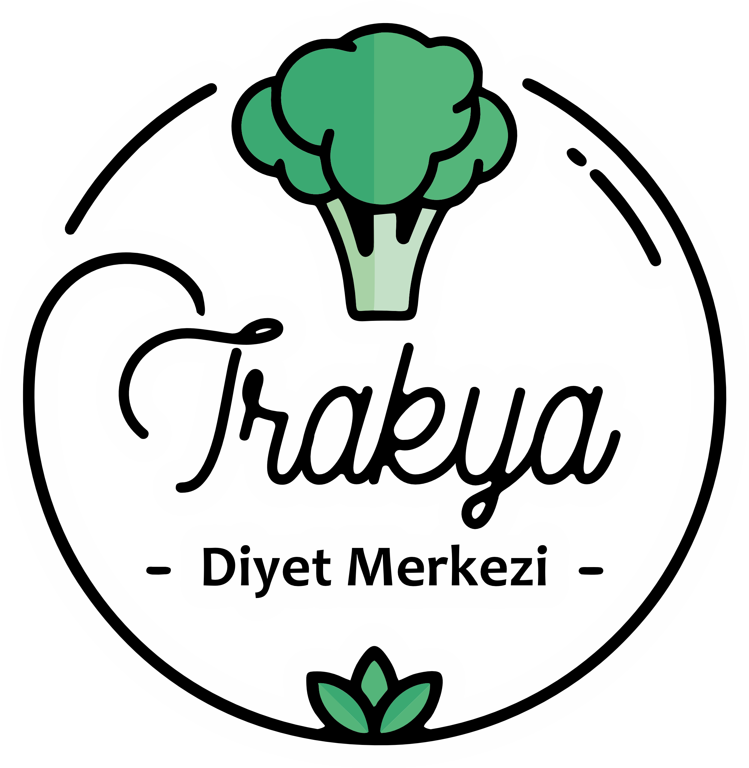 cropped-trakyadiyetisyen-test-2022-001-1-1.png